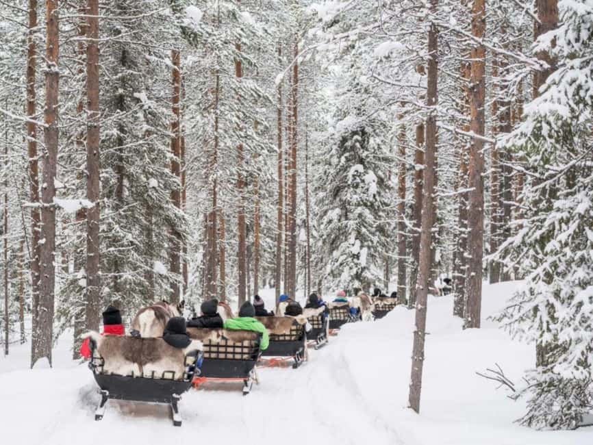Reindeer Safari at a 200-Year-Old Farm & Long Sled Ride - Price and value: is $260 reasonable for this experience?