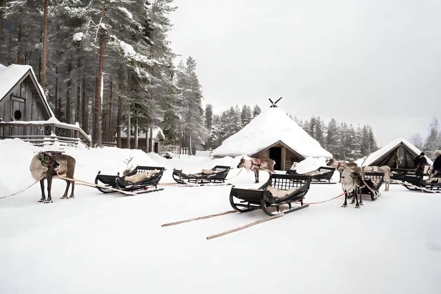Reindeer Safari at a 200-Year-Old Farm & Long Sled Ride - Who should book this reindeer safari, and who might not love it
