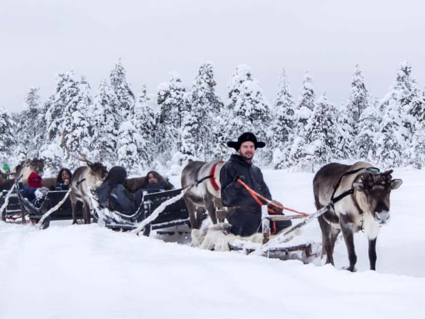 Reindeer Safari at a 200-Year-Old Farm & Long Sled Ride - Should you book the Reindeer Safari at a 200-Year-Old Farm?