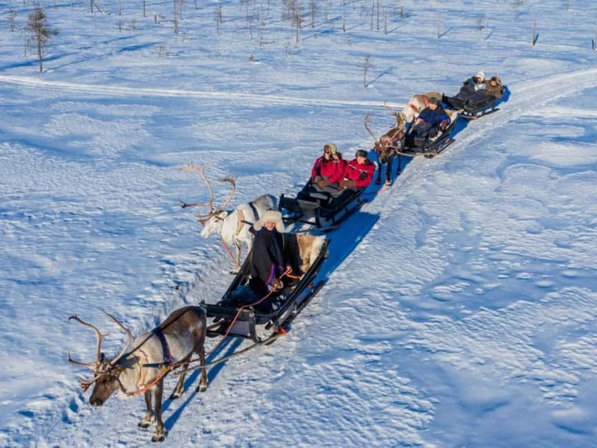 Reindeer Safari at a 200-Year-Old Farm & Long Sled Ride - The 2.5 km sled ride: wind, pace, and why families like it