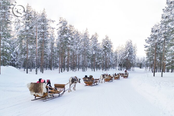 Reindeer Safari in Arctic Wilderness - The farmhouse warm-up: hot drinks, questions, and reindeer insight