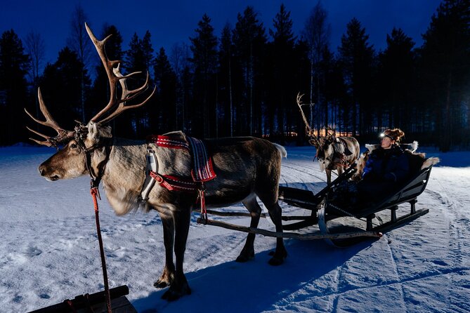 Reindeer Sleigh Ride Across the Night in Apukka Resort Rovaniemi - From Apukka Pickup to the Reindeer Farm Trail