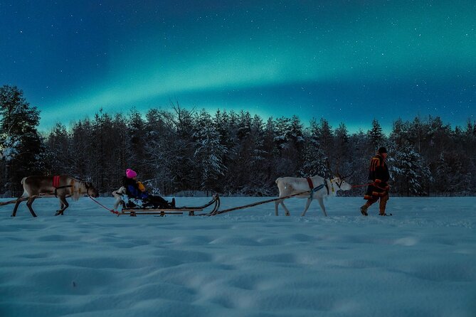 Reindeer Sleigh Ride Across the Night in Apukka Resort Rovaniemi - Price and Value for a 3-Hour Arctic Evening