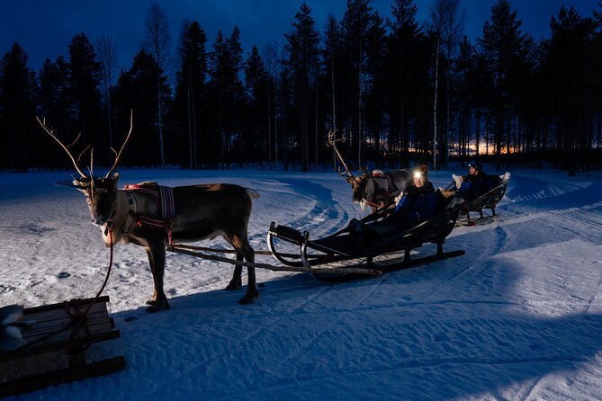 Reindeer Sleigh Ride Across the Night in Apukka Resort Rovaniemi - Thermal Wear, Blankets, and the Hot Snack Break