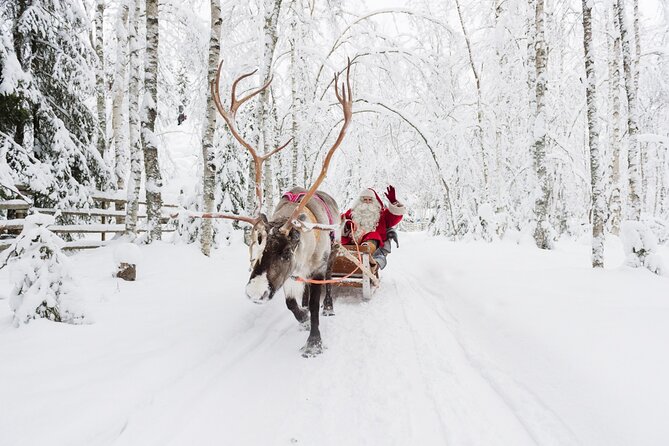 Reindeer Sleigh Ride and Farm Experience from Rovaniemi - First stop: the reindeer farm, where the real work shows