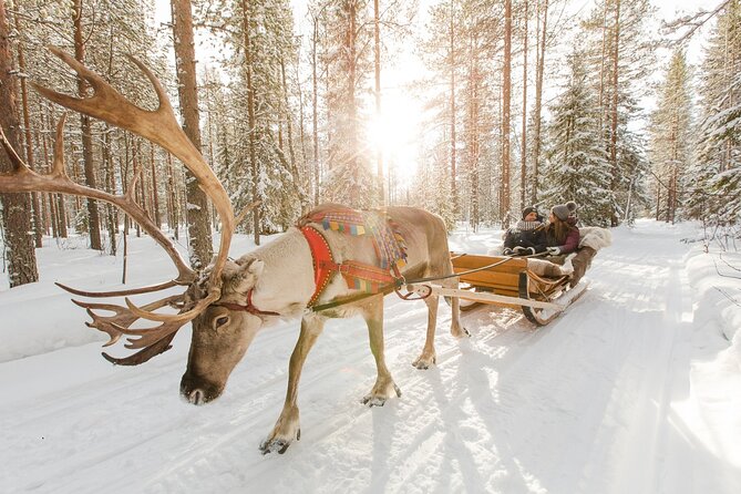 Reindeer Sleigh Ride and Farm Experience from Rovaniemi - Group size and crowding: small enough to manage, big enough to be noticeable