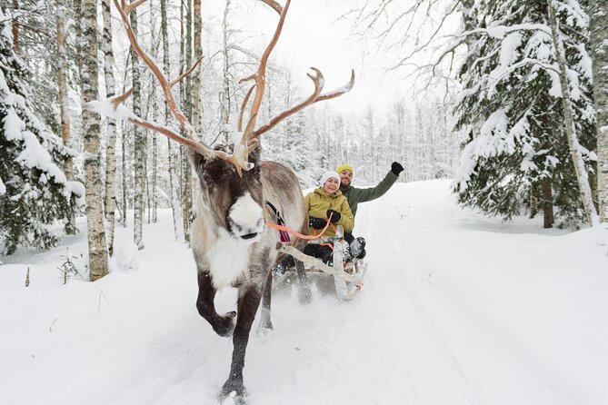Reindeer Sleigh Ride and Farm Experience from Rovaniemi - How the timing adds up (and why the ride feels quick)