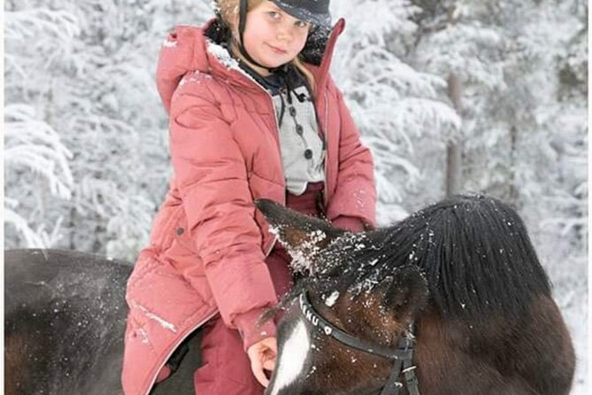 Riding Tour with Finnhorses at Santa Claus Village - Safety and pacing: why the experience works for new riders