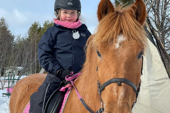 Riding Tour with Finnhorses at Santa Claus Village - Price and value: what $126 buys you in a one-hour experience