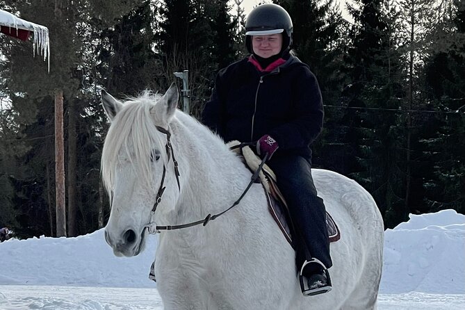 Riding Tour with Finnhorses at Santa Claus Village - Who should book this Finnhorse session at Aurora Horses