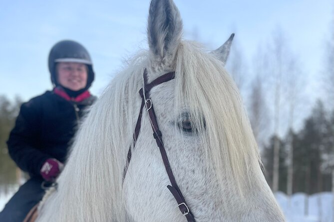 Riding Tour with Finnhorses at Santa Claus Village - Your 60-minute flow: the intro, the snowy trek, and the campfire ending