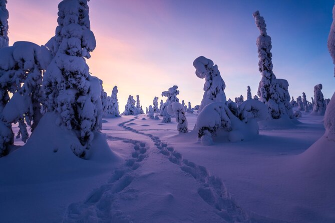 Riisitunturi wilderness adventure - Riisitunturi National Park is a photo destination, not just a stop