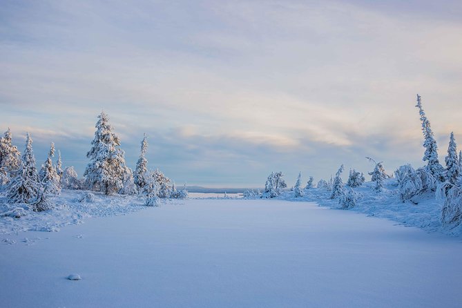 Riisitunturi wilderness adventure - Stop in the park: finding “best possible” photo locations