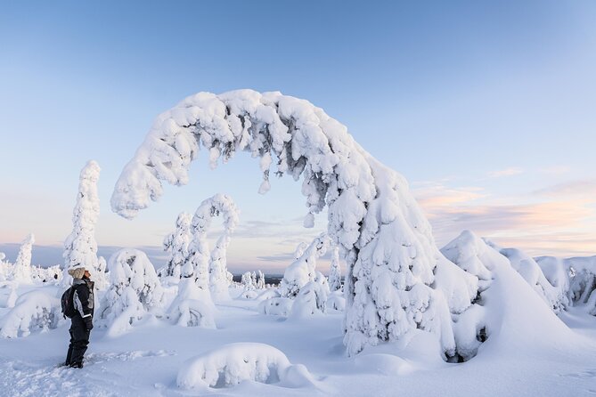 Riisitunturi wilderness adventure - Daylight reality: how to handle short winter hours