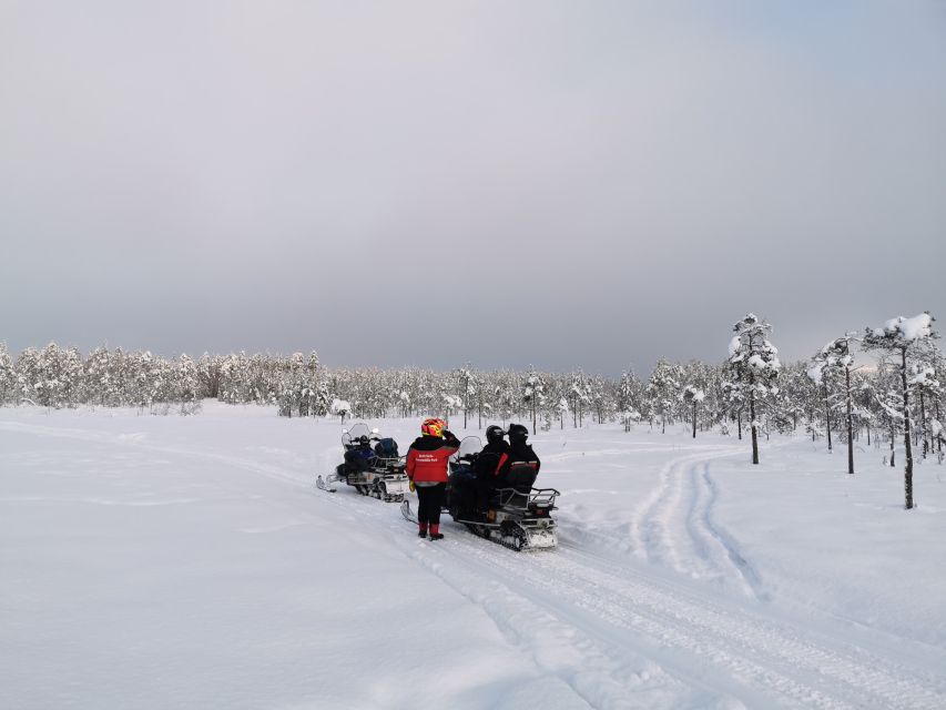 Rovaniemi: 3-Hour Snowmobile Safari in Lapland - Shared Snowmobiles: Comfort, Conversation, and Who Gets to Drive