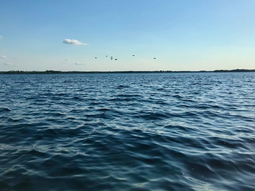 Rovaniemi: All-Day Canoe Adventure - Arctic scenery and wildlife: what to expect realistically