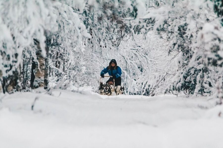 Rovaniemi: Apukka Husky Adventure - Quick hits from the Apukka Husky Adventure