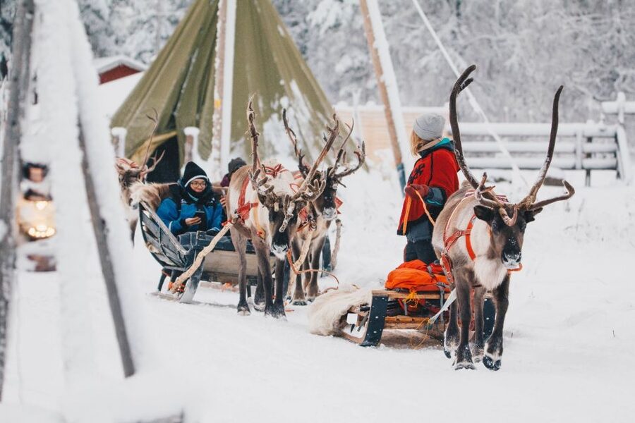Rovaniemi: Apukka Reindeer Journey - Key things to know before you go