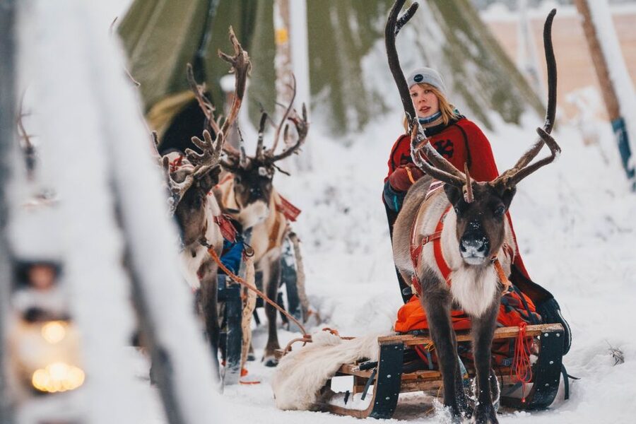 Rovaniemi: Apukka Reindeer Journey - Logistics that can make or break the day