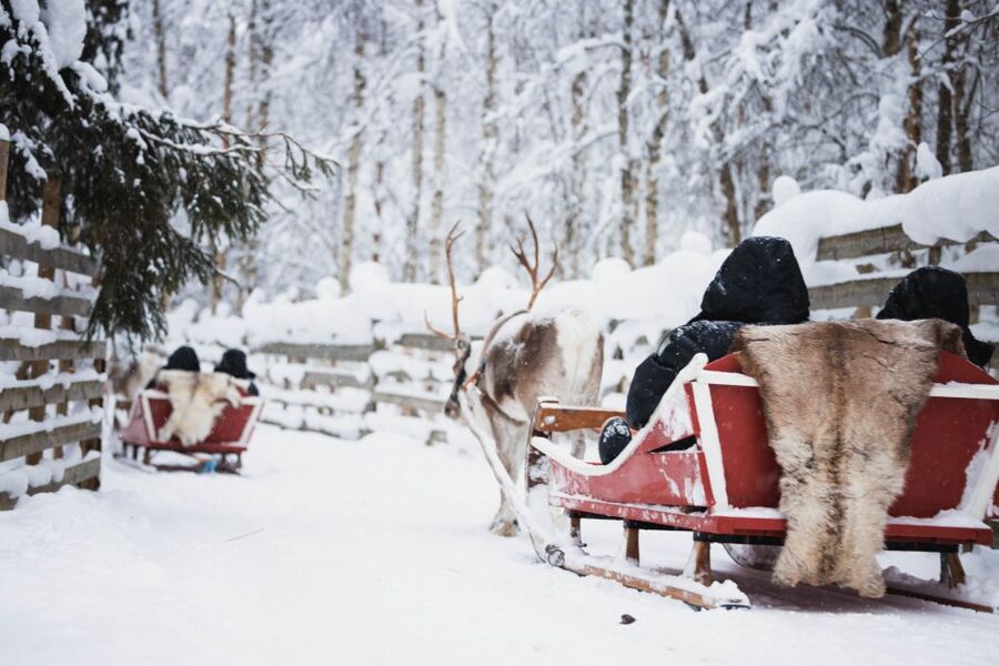 Rovaniemi: Arctic Circle Highlights by Snowmobile - Salmon Soup Lunch: Warm Food and Herding Stories in One Stop