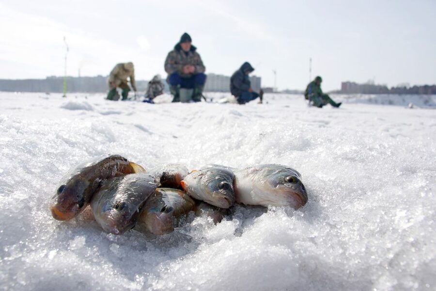 Rovaniemi: Arctic Circle Ice Fishing Experience - Booking advice: choosing the right meeting point and timing your day