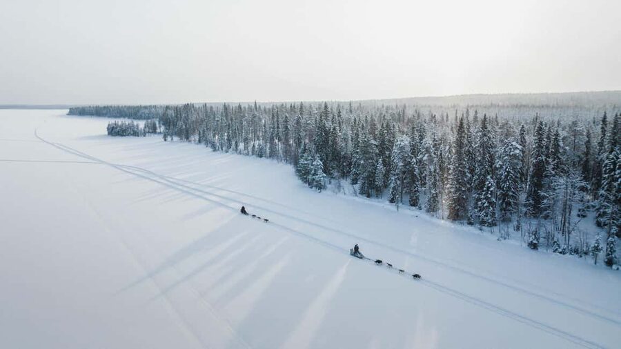 Rovaniemi: Arctic Circle Long Trail Husky Adventure - First Stop: Meeting the Huskies Like a Musher, Not a Spectator