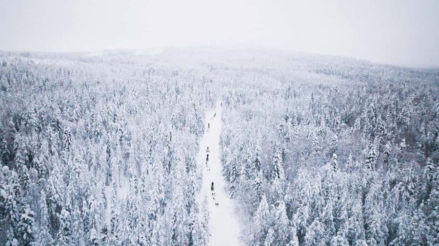 Rovaniemi: Arctic Circle Long Trail Husky Adventure - Before You Go: Bring ID, Leave Luggage, Dress Smart