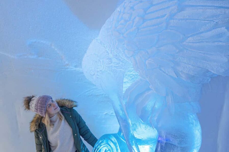 Rovaniemi: Arctic Snow Hotel Tour - Key things that make this tour worth your time