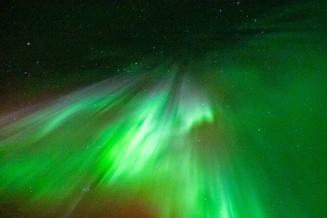 Rovaniemi: Aurora BBQ at the Best Spots - Stop 1 Near Santa Claus Village, Arctic Lake and Forest Aurora Intro
