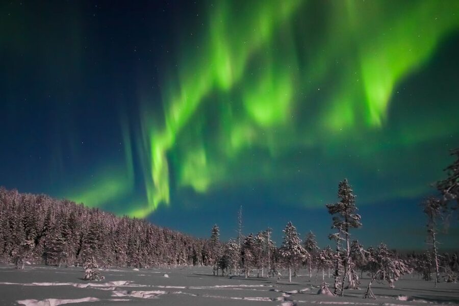 Rovaniemi: Aurora Borealis and Picnic - Group Size and Your Viewing Experience