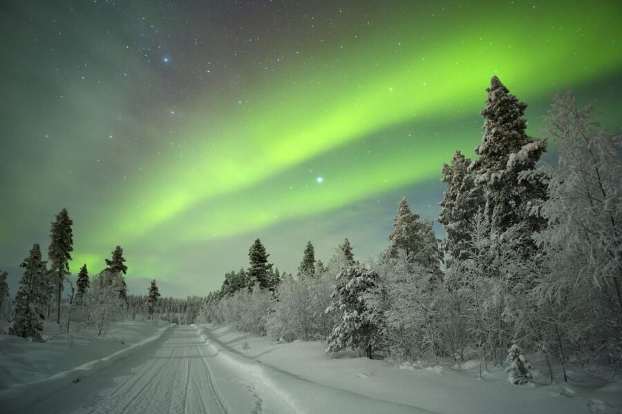 Rovaniemi: Aurora Borealis Snowmobile Safari with Campfire - Key things to know before you go