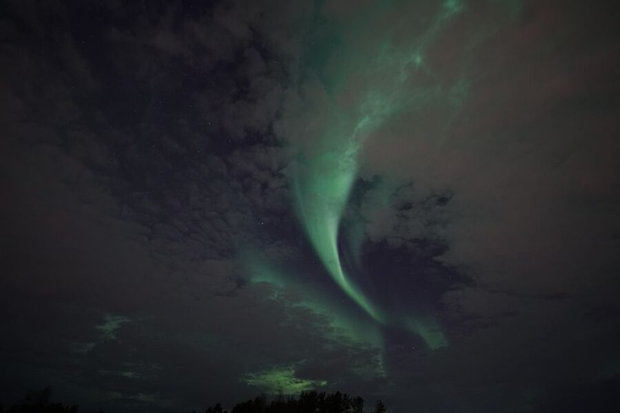Rovaniemi: Aurora Borealis Tour - Who This Tour Fits Best (and Who Should Skip)