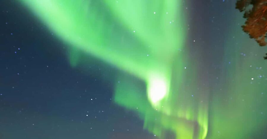 Rovaniemi: Aurora Borealis Trip – Autumn - Pickup From Rovaniemi: Short Van Times, Clear Meeting Point