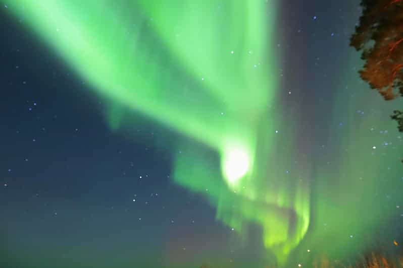 Rovaniemi: Aurora Borealis Trip – Autumn - Campfire Lappish Picnic: Sausage, Hot Berry Juice, and Real Warmth