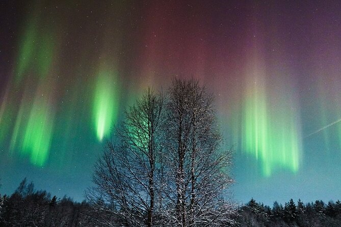 Rovaniemi: Aurora Hunt with Photograph & money back guarantee - Aurora Hunt With a Plan, Not Just Hope