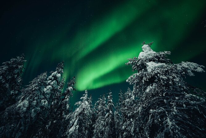 Rovaniemi: Aurora Hunt with Photograph & money back guarantee - Price and Value: What $167.74 Is Really Buying