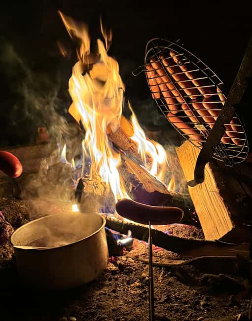 Rovaniemi: Aurora hunting and a fireside BBQ experience - Northern Lights in Rovaniemi, the real value of this 3-hour hunt