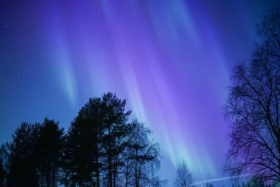 Rovaniemi: Aurora hunting and a fireside BBQ experience - Price and value, what $112 buys you in Lapland time