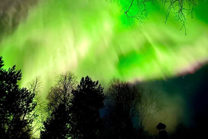 Rovaniemi: Aurora Hunting & Photography Tour - Small group size: why it feels better than big bus tours