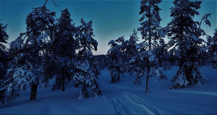 Rovaniemi: Aurora Hunting Tour in the Forest with Hot Drinks - Northern Lights in Rovaniemi, the 3-hour forest plan