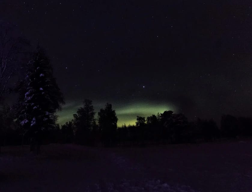 Rovaniemi: Aurora Hunting Tour in the Forest with Hot Drinks - Timing that matters, 9 PM to midnight aurora window
