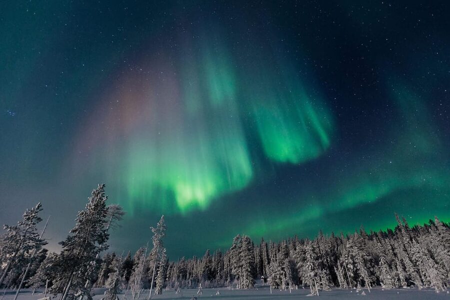 Rovaniemi: Aurora Hunting Tour in the Forest with Hot Drinks - Pickup and start points, Ounasvaara, Santa Claus Village, or city center