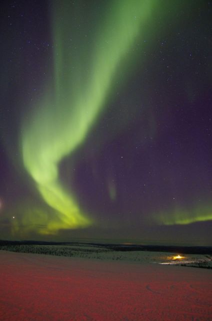 Rovaniemi: Aurora Hunting Tour with Photography by Van - The small-group van ride, up to 11 people