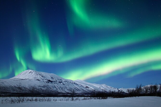 Rovaniemi Aurora Hunting Tour - When you leave: the tour timing shifts by month and sunset