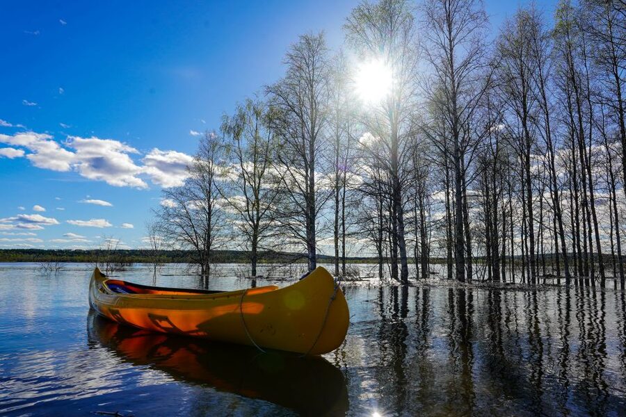 Rovaniemi: Authentic Reindeer Farm & Canoeing - Who This Tour Suits Best, and Who Should Skip It