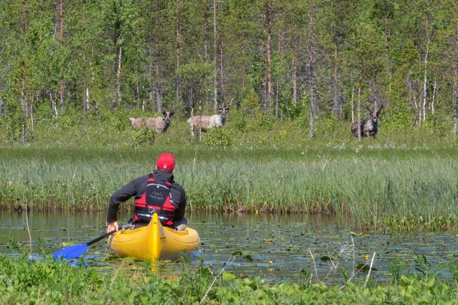 Rovaniemi: Authentic Reindeer Farm & Canoeing - First, Get the Timing Right: Pickup and the Small-Group Pace