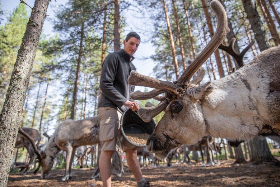 Rovaniemi: Authentic Reindeer Farm & Canoeing - Sustainability in Practice: Sustainable Travel Finland Badge and Smarter Pickup
