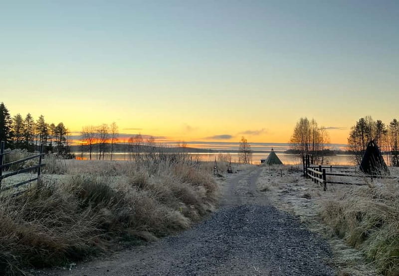 Rovaniemi: Autumn Husky Ride on Wheels - The 3 km cart ride through Lapland’s autumn timing