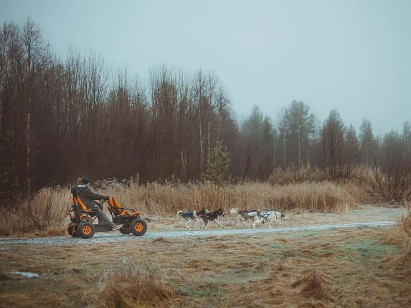 Rovaniemi: Autumn Husky Ride on Wheels - Getting to Apukka Resort: what to know before you head out