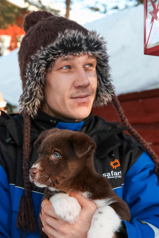 Rovaniemi: Daytime Husky Safari - Key things to know before you go
